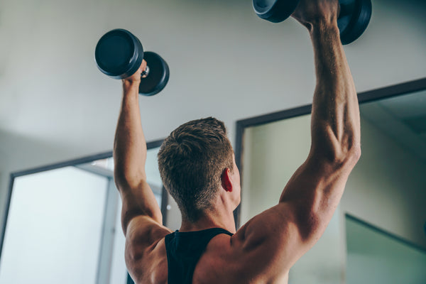 Build Muscle
